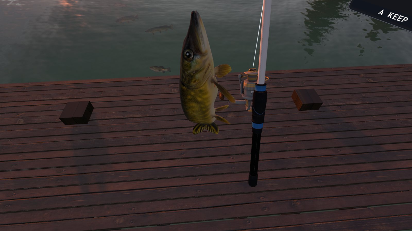 Holding up a northern pike on the cabin dock