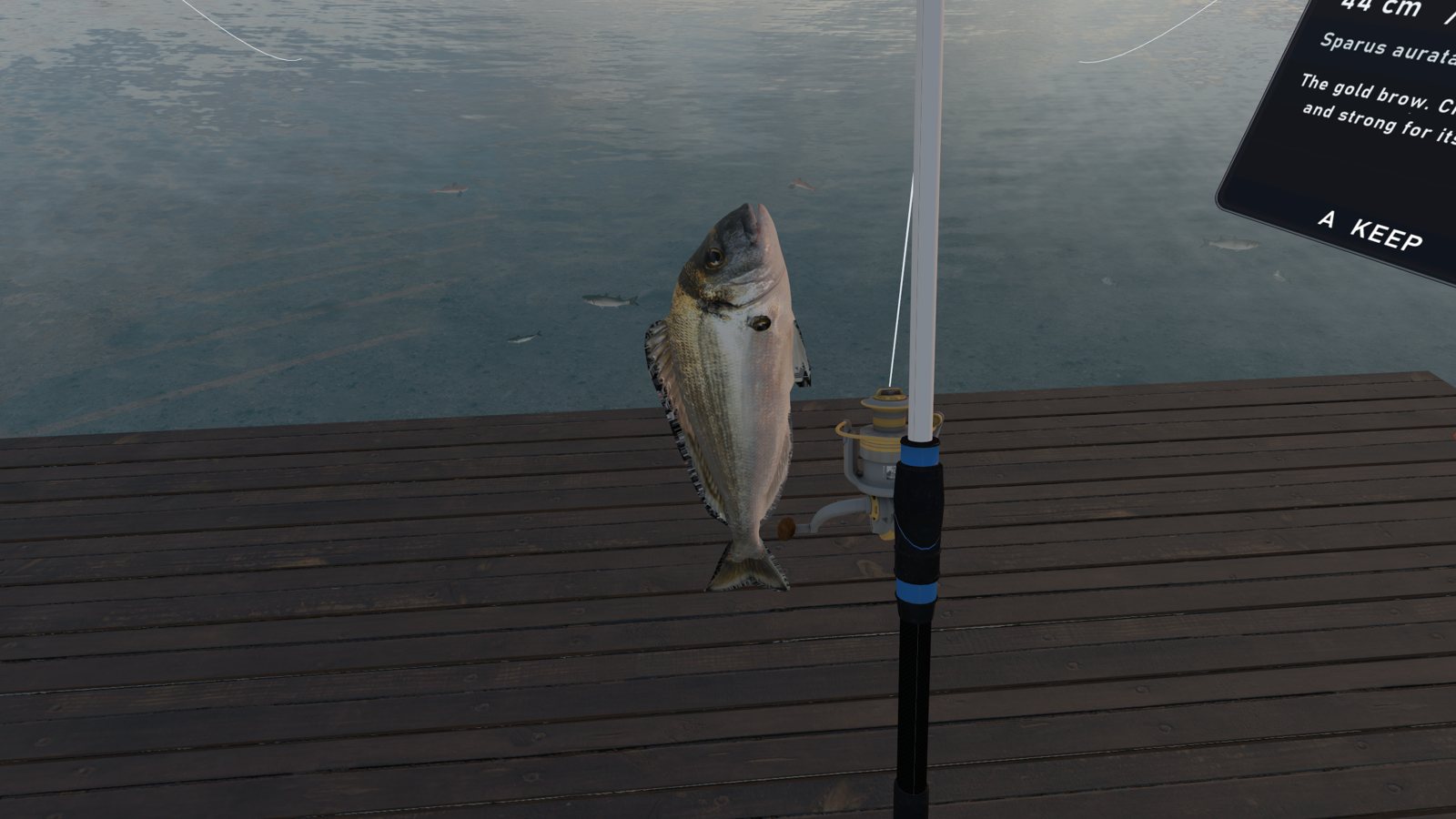 Fishing from the Santa Lucia pier beside Castel dell'Ovo