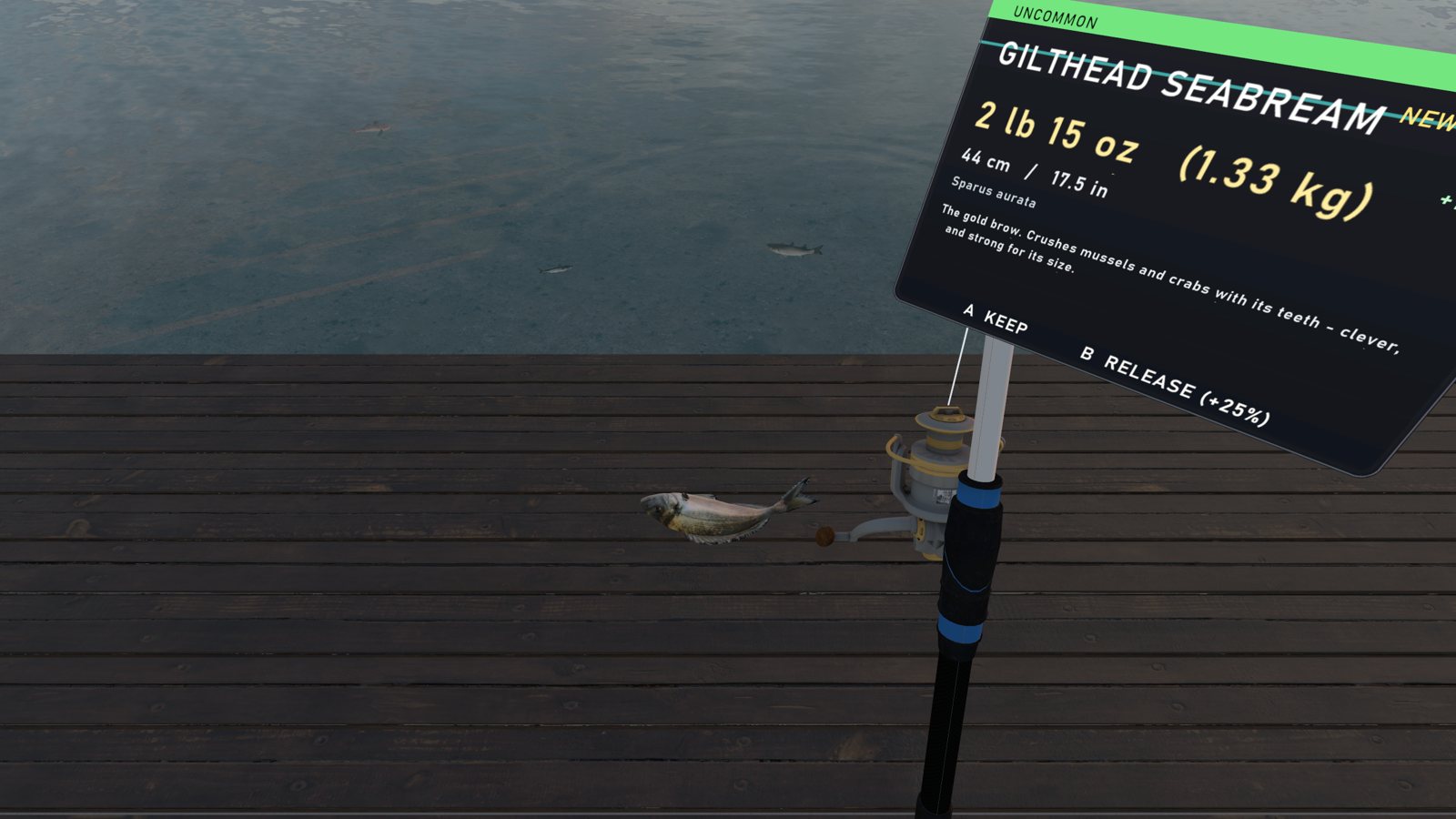 Anglers fishing together on the pier