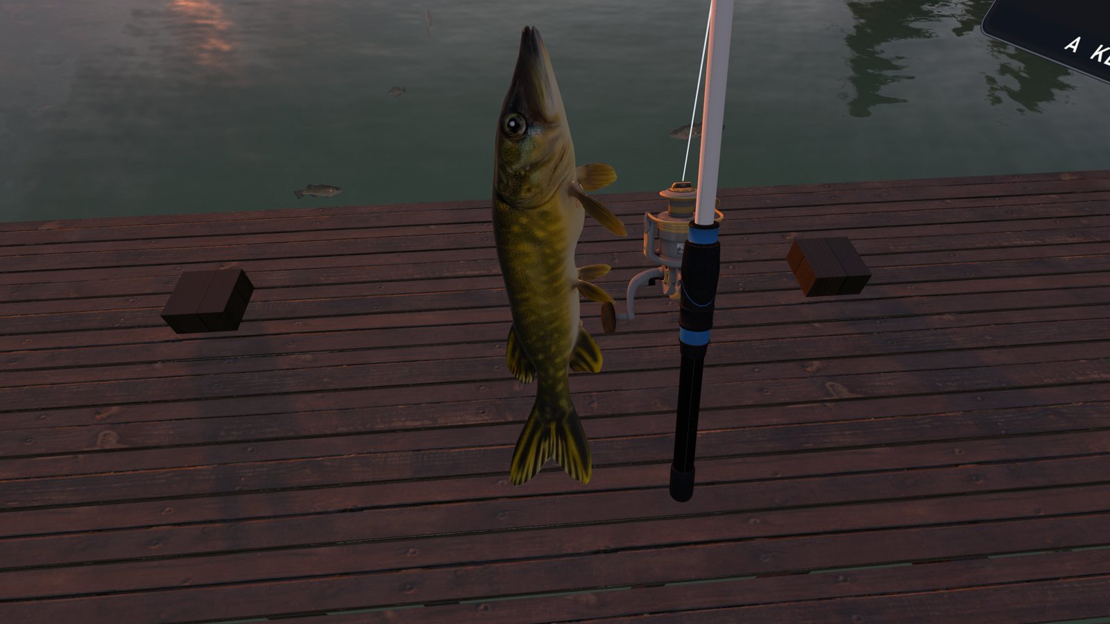 Holding up a catch on the cabin dock