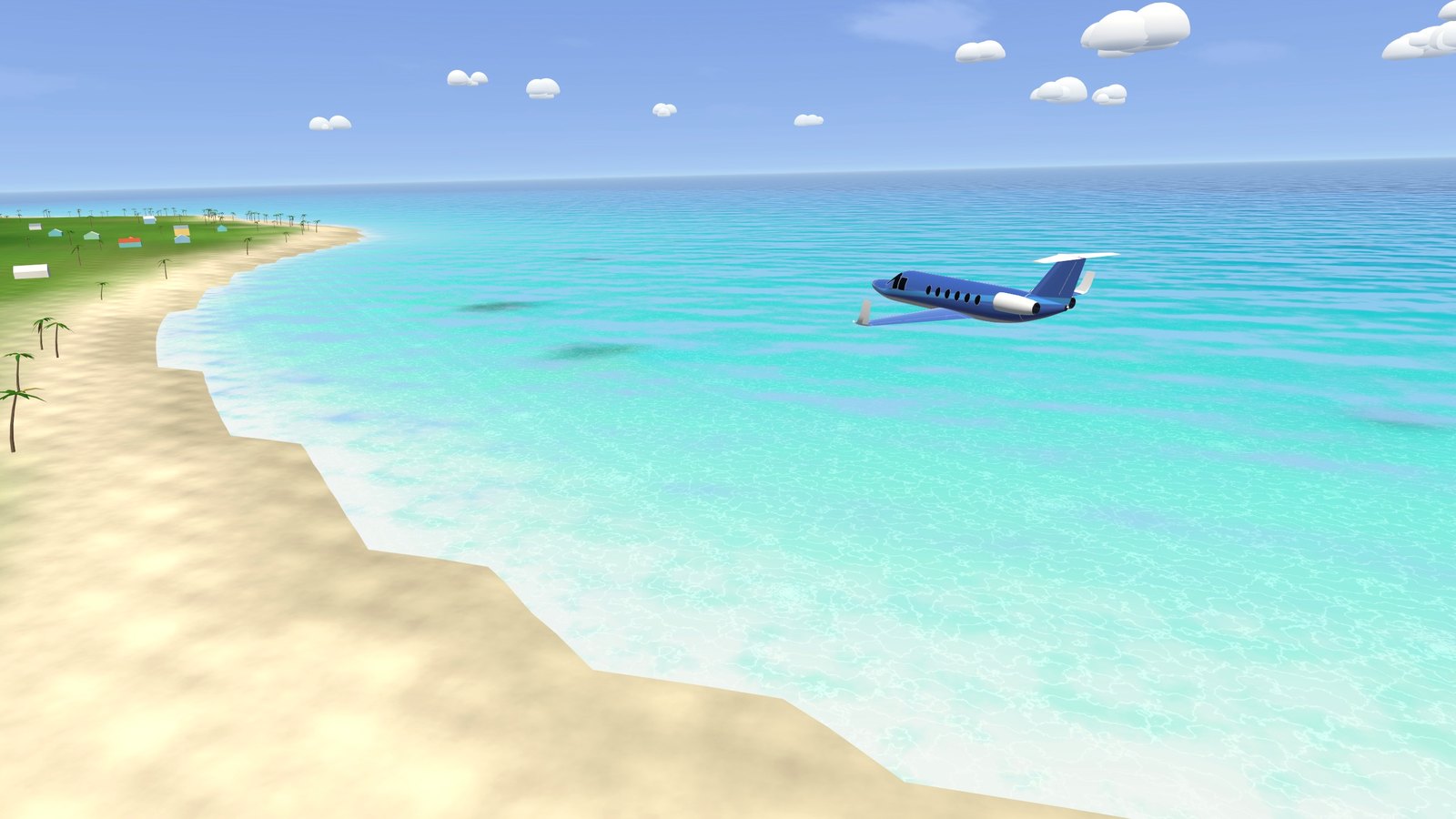 The private jet low along a palm beach