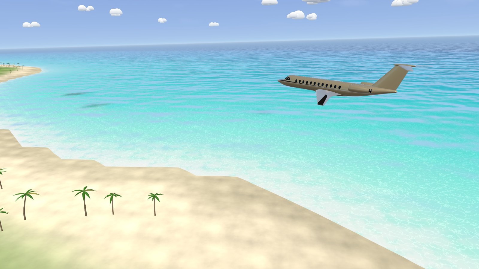The private jet low along a palm beach