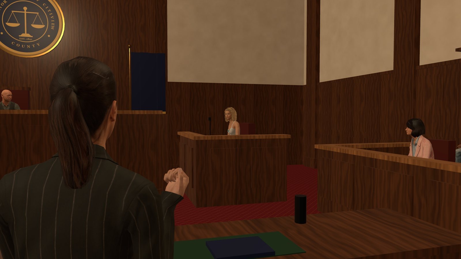 The prosecution questions its witness